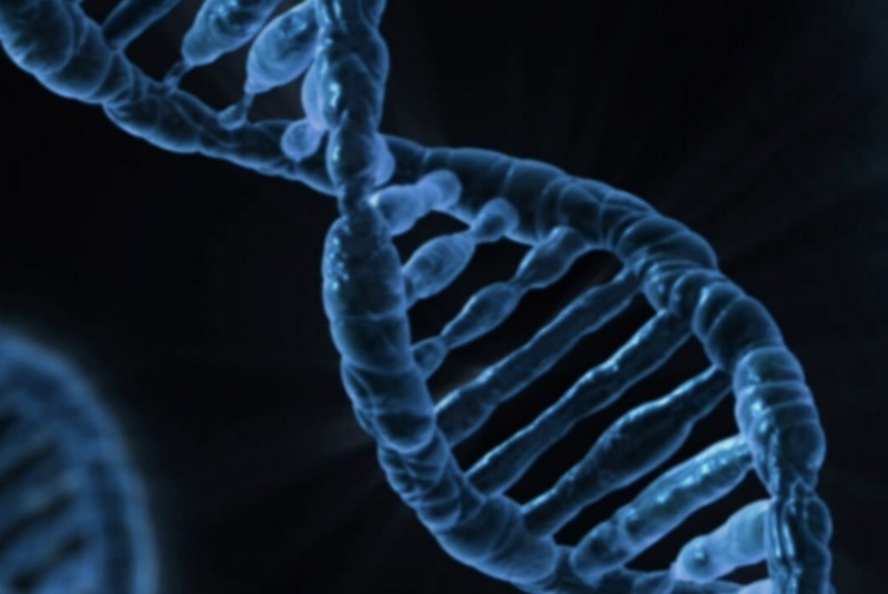 Population Genetics Debunks Notions Of Racial Purity & Caste Supremacy 1population genetics madras courier